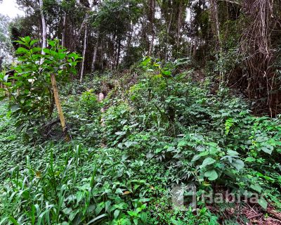 Terreno com excelente topografia 